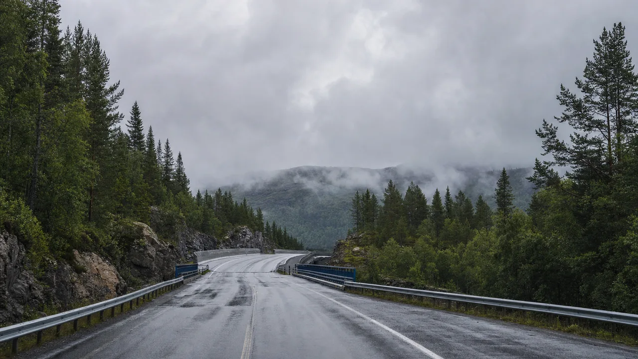 Grønn skog ved grenseovergangen på Ørje der E18 krysser mellom Sverige og Norge.
